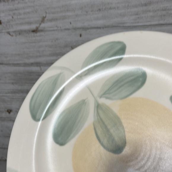 PFALTZGRAFF Vera Cruz Lemon Green Salad Plate Mexico GREAT 8.75” - Picture 4 of 5